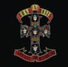 Appetite For Destruction